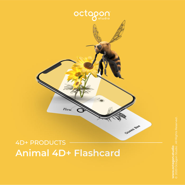 Octagon Animal 4D+ Flash Cards