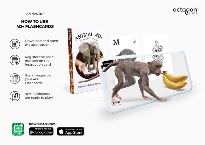 Octagon Animal 4D+ Flash Cards