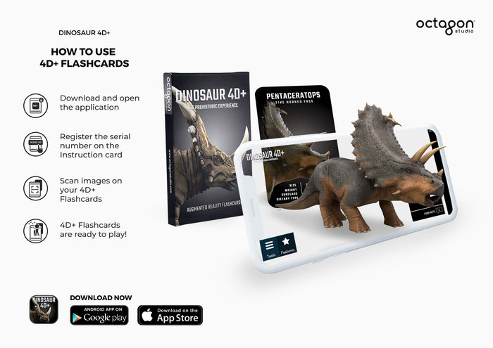 Octagon Dinosaur 4D+ Flash Cards