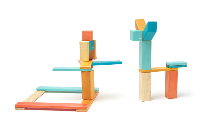 Tegu Classic Magnetic Wooden Blocks 24-Piece Set