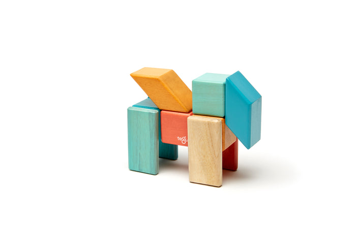 Tegu Classic Magnetic Wooden Blocks 24-Piece Set